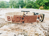 CHOCOLATE CHIP Pet Collar