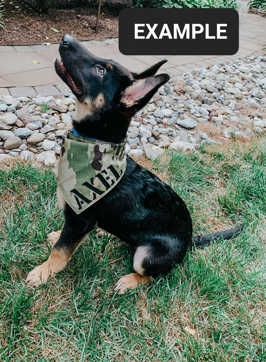 Military on sale dog bandanas